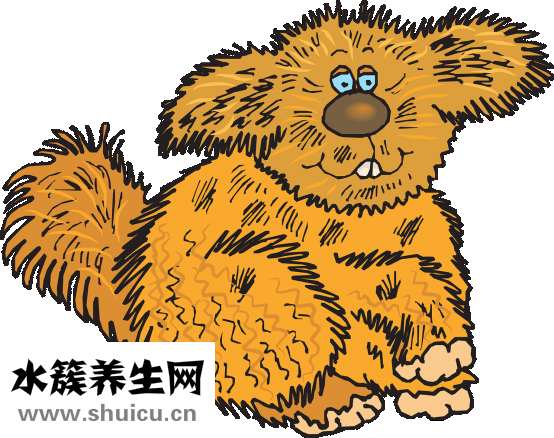 砂發怎么辦
