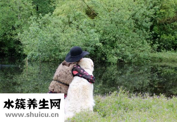 包皮腫了應該怎么辦