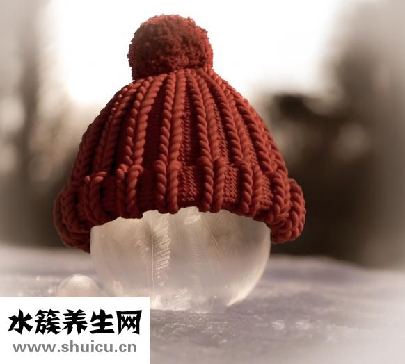 鬧狗怎么辦