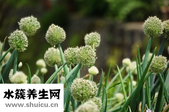 辣腸怎么吃