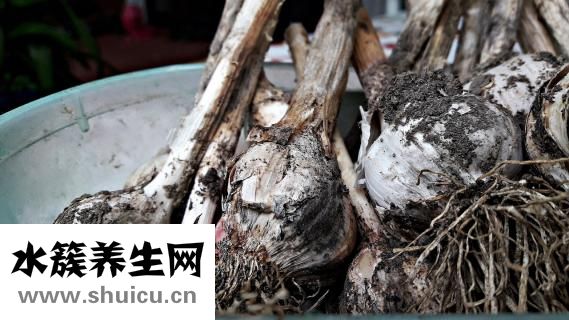 辣腸怎么吃