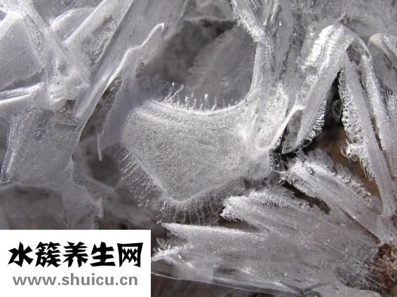 鹽怎么結晶
