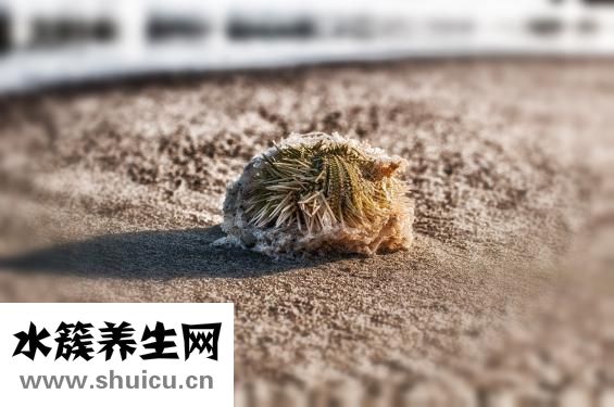 手小怎么辦