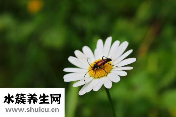 怎么臉部減肥