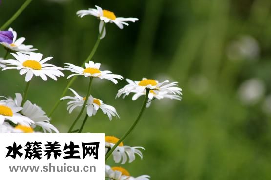 怎么臉部減肥