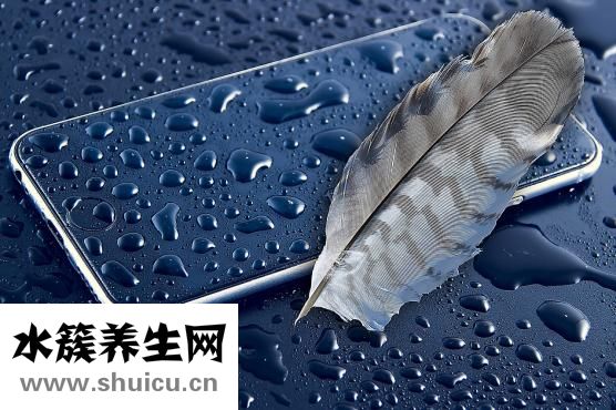 黃芪怎么洗