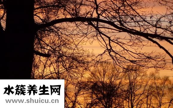 雞毛怎么退