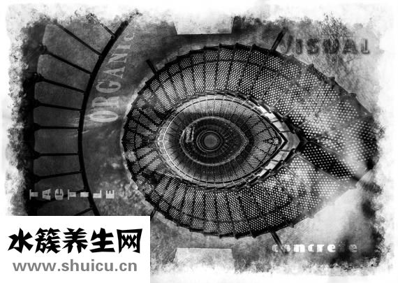 山棗怎么泡水