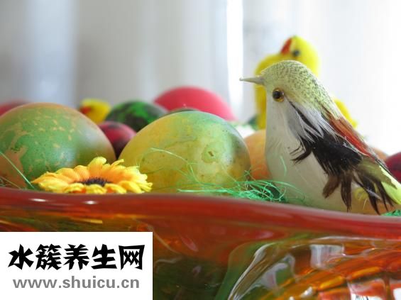 醬油怎么煮