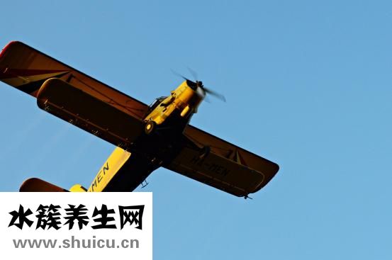 廚房發現蟑螂怎么辦