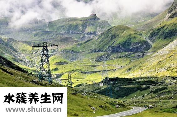 豐菌怎么翻譯