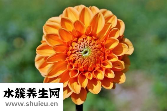 絲襪怎么洗