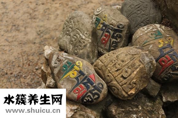 佛手觀音花怎么養殖