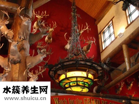 巫師帽怎么做