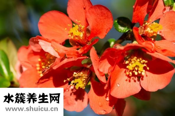 天官書怎么學