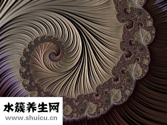 劉海怎么搭理