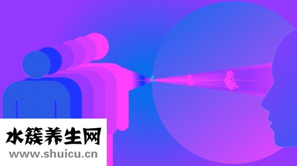 何手烏怎么吃
