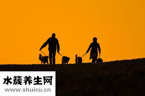 怎么回復別人