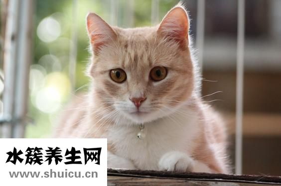 受不鳥怎么辦