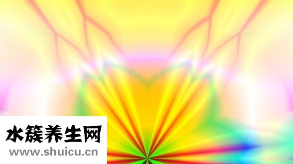 何手烏怎么吃