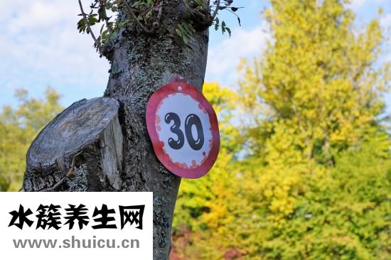花蜆怎么養