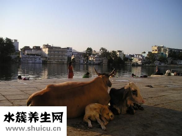 導師不牛怎么辦