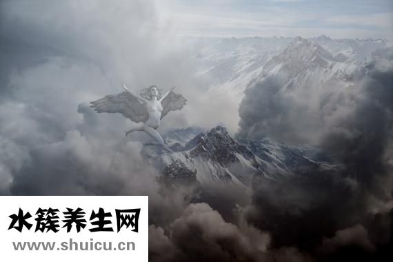 何手烏怎么吃