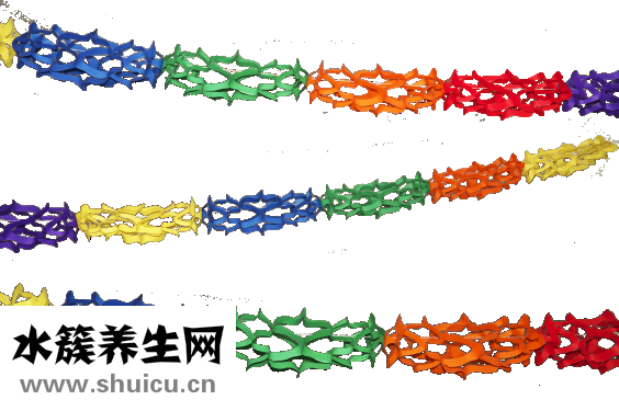 江鯉魚怎么做好吃