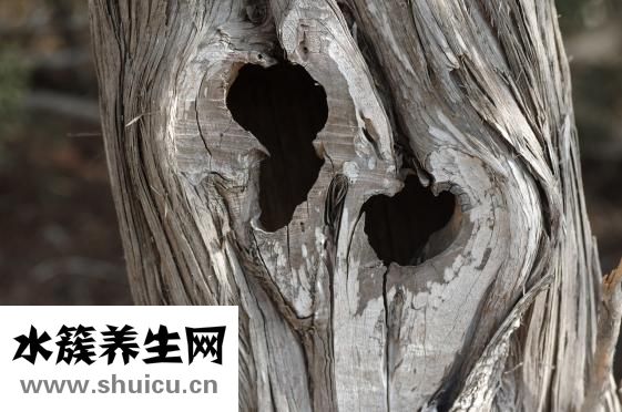 做夢多怎么辦