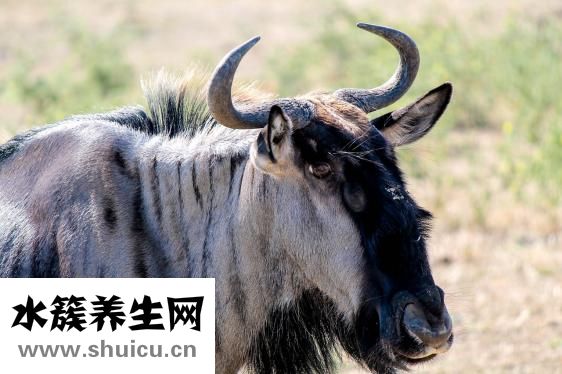 包眼角怎么辦