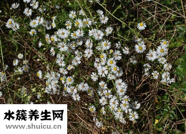 子宮內膜充血怎么辦