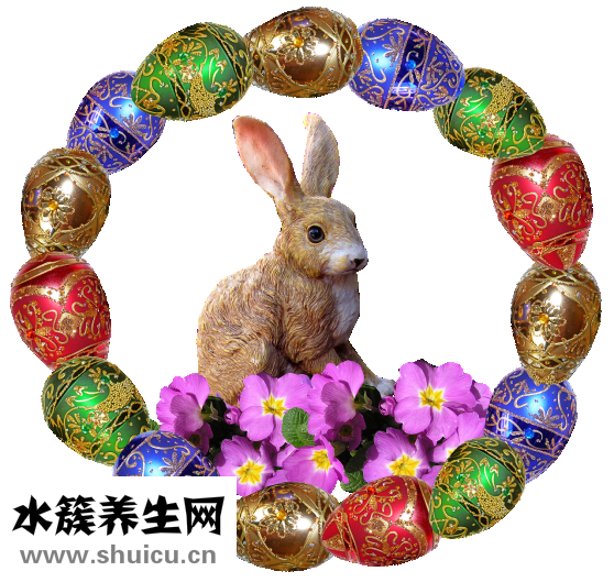 頭發油掉發怎么辦