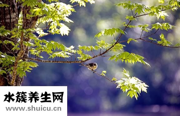 肝郁該怎么辦