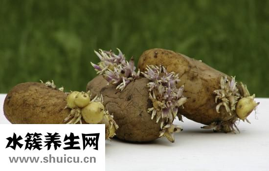 豬蹄怎么焯