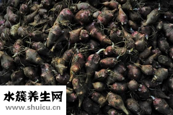 豬蹄怎么焯