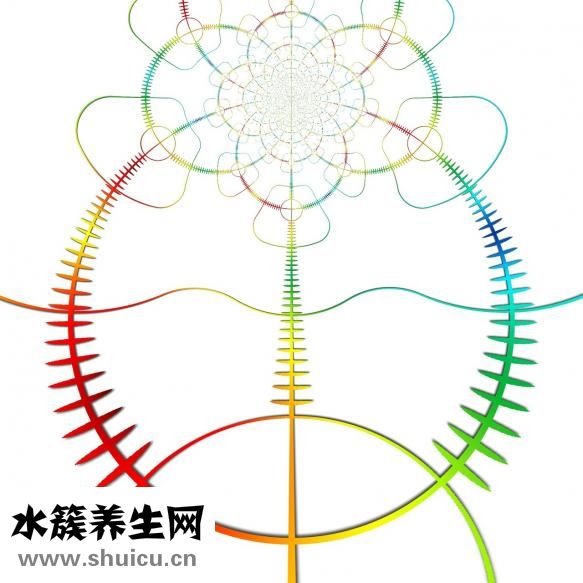 射精手怎么動