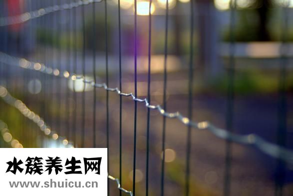 怎么做噩夢