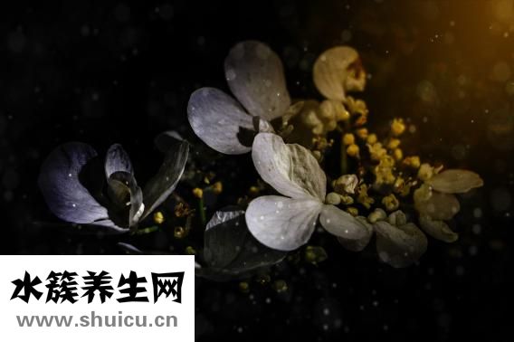 完善時光之眼怎么做