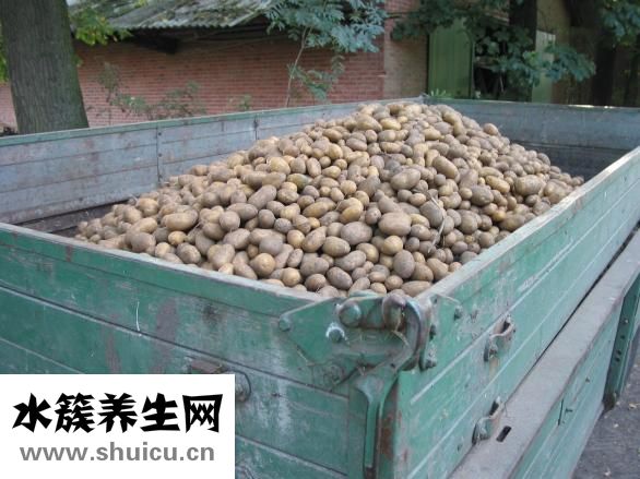 豬蹄怎么焯