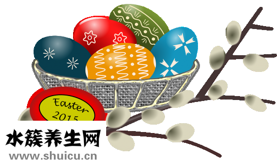 狗落枕怎么辦