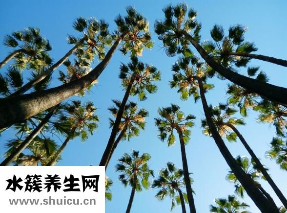 怎么調戲女性