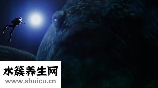 鳊魚怎么燒