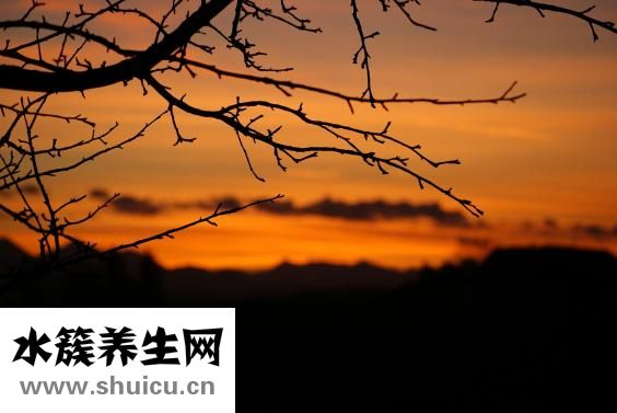 白癜風怎么治療問答