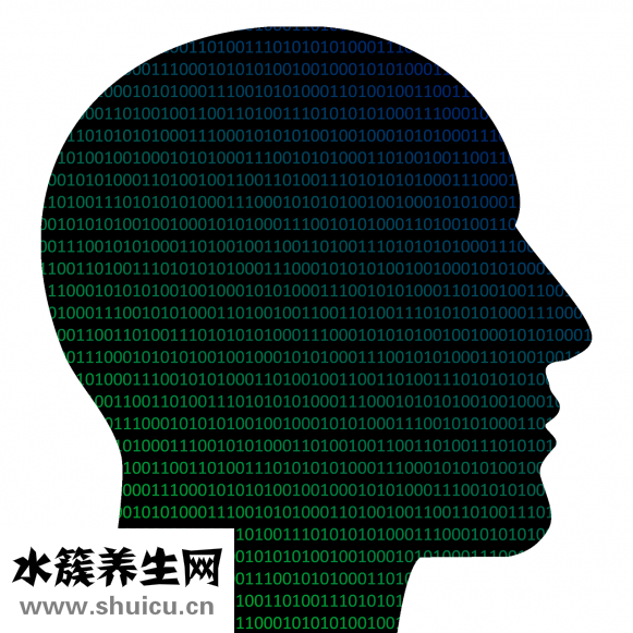 怎么做心肺復蘇