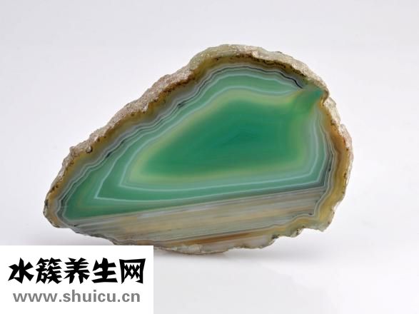 瑪瑙花怎么養