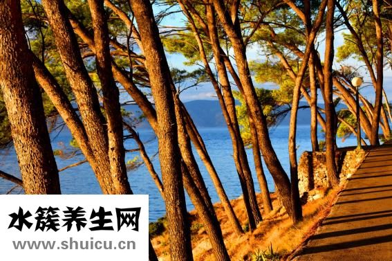 導尿管不導尿怎么辦
