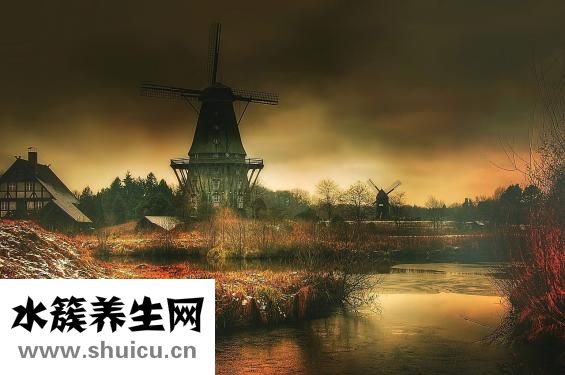 怎么量體重
