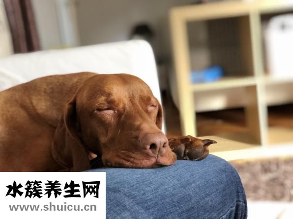 女人乳頭內陷怎么辦