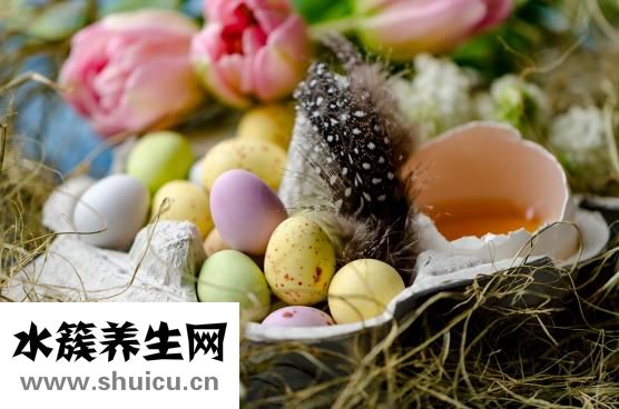 狗落枕怎么辦