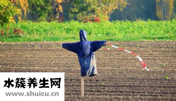 怎么鋪被子